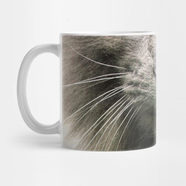 Cute Cat Whiskers Face by Family shirts